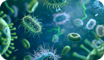 Microscopic view of gut bacteria and microbiome flora