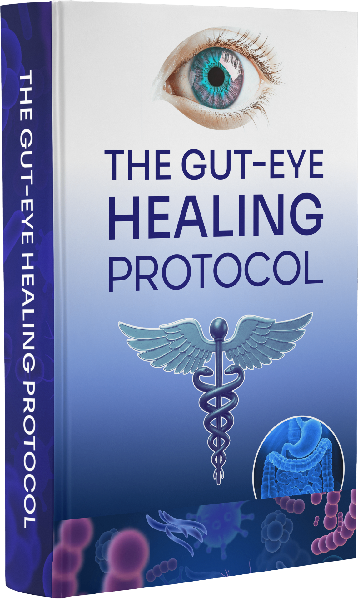 Bonus #2: The Gut-Eye Healing Protocol